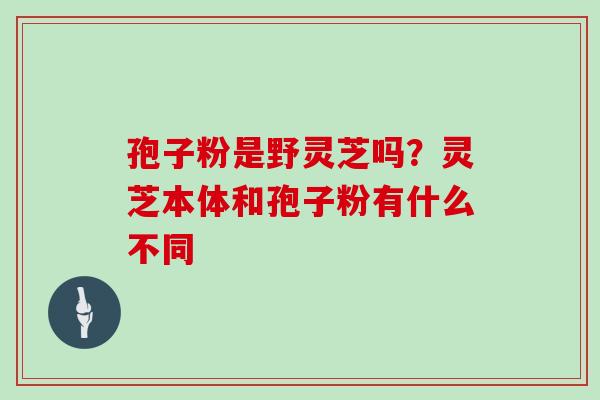 孢子粉是野灵芝吗？灵芝本体和孢子粉有什么不同