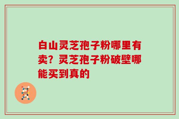 白山灵芝孢子粉哪里有卖?灵芝孢子粉破壁哪能买到真的