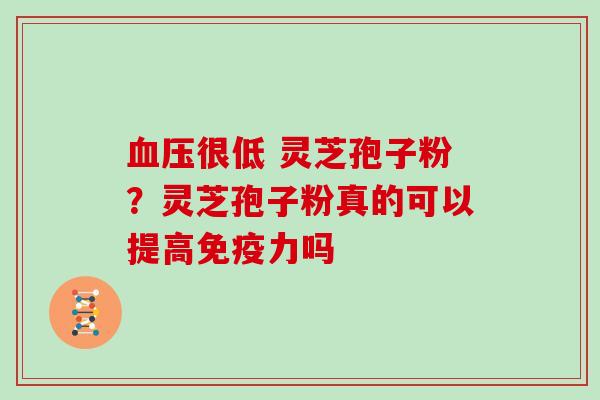 血压很低 灵芝孢子粉?灵芝孢子粉真的可以提高免疫力吗