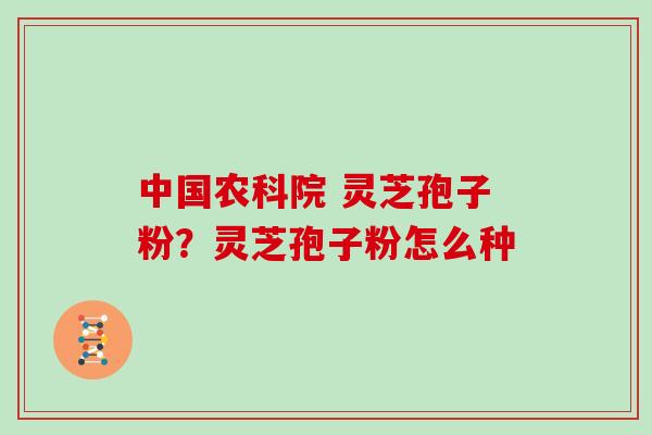 中国农科院 灵芝孢子粉?灵芝孢子粉怎么种