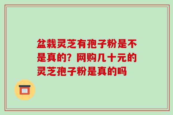 盆栽灵芝有孢子粉是不是真的?网购几十元的灵芝孢子粉是真的吗