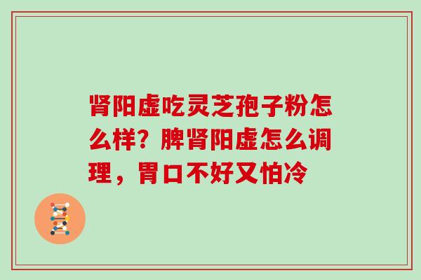 肾阳虚吃灵芝孢子粉怎么样?脾肾阳虚怎么调理,胃口不好又怕冷