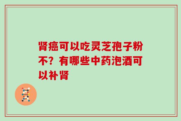 肾癌可以吃灵芝孢子粉不?有哪些中药泡酒可以补肾