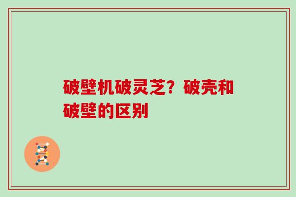 破壁机破灵芝?破壳和破壁的区别