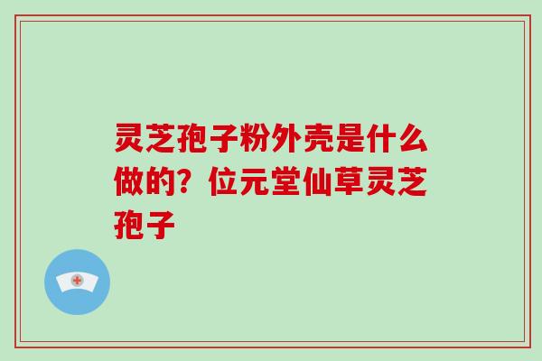 灵芝孢子粉外壳是什么做的?位元堂仙草灵芝孢子