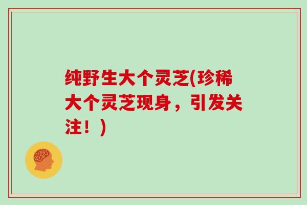 纯野生大个灵芝(珍稀大个灵芝现身，引发关注！)