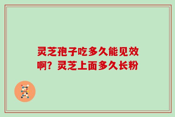 灵芝孢子吃多久能见效啊?灵芝上面多久长粉