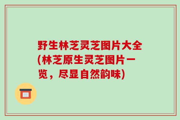 野生林芝灵芝图片大全(林芝原生灵芝图片一览,尽显自然韵味)