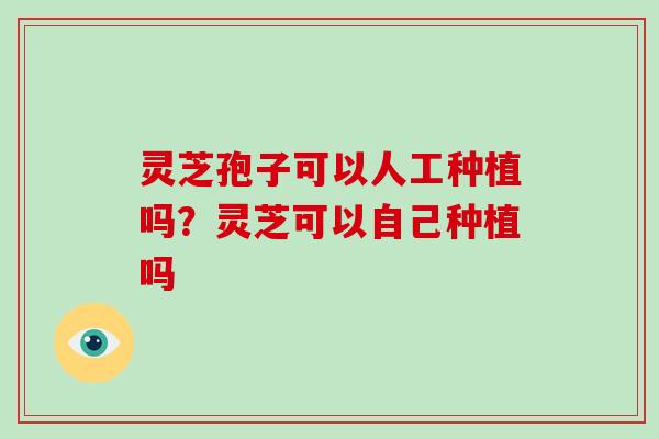 灵芝孢子可以人工种植吗?灵芝可以自己种植吗