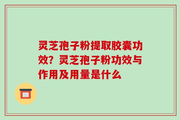 灵芝孢子粉提取胶囊功效?灵芝孢子粉功效与作用及用量是什么