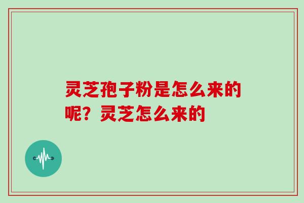 灵芝孢子粉是怎么来的呢？灵芝怎么来的