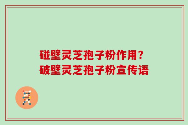 碰壁灵芝孢子粉作用？破壁灵芝孢子粉宣传语