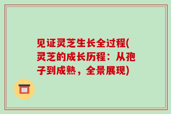 见证灵芝生长全过程(灵芝的成长历程:从孢子到成熟,全景展现)
