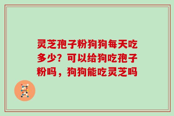 灵芝孢子粉狗狗每天吃多少?可以给狗吃孢子粉吗,狗狗能吃灵芝吗