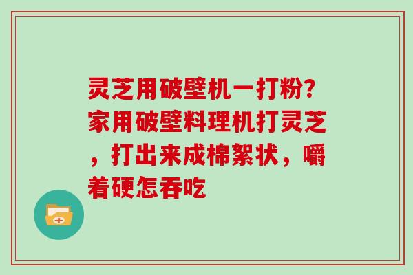 灵芝用破壁机一打粉?家用破壁料理机打灵芝,打出来成棉絮状,嚼着硬怎吞吃