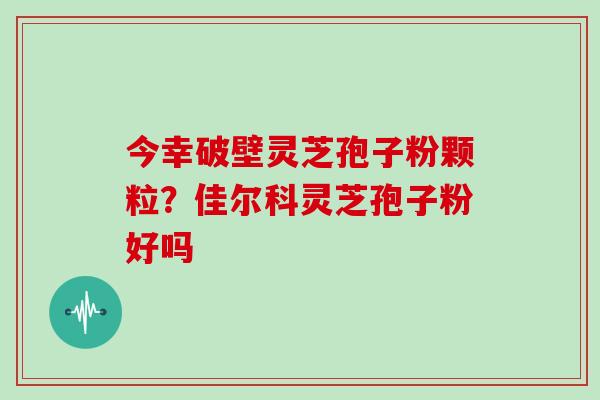 今幸破壁灵芝孢子粉颗粒?佳尔科灵芝孢子粉好吗