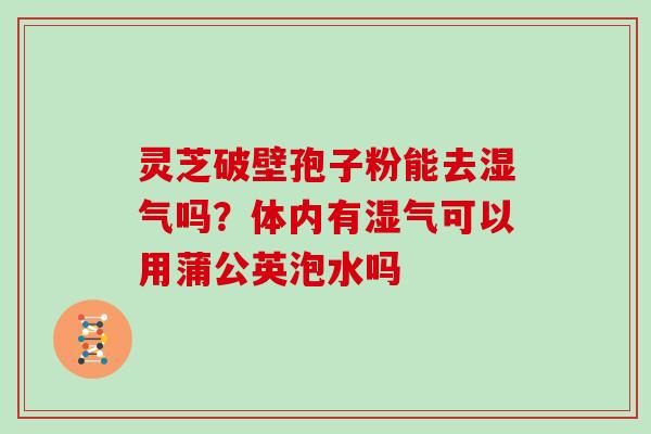 灵芝破壁孢子粉能去湿气吗?体内有湿气可以用蒲公英泡水吗