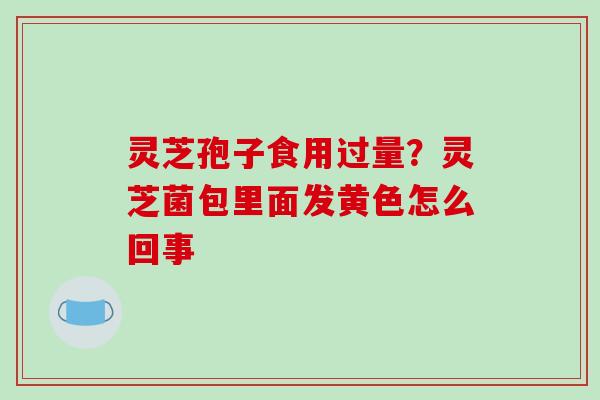 灵芝孢子食用过量?灵芝菌包里面发黄色怎么回事