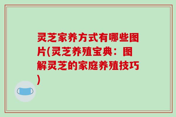 灵芝家养方式有哪些图片(灵芝养殖宝典：图解灵芝的家庭养殖技巧)
