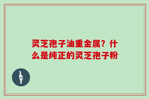 灵芝孢子油重金属?什么是纯正的灵芝孢子粉