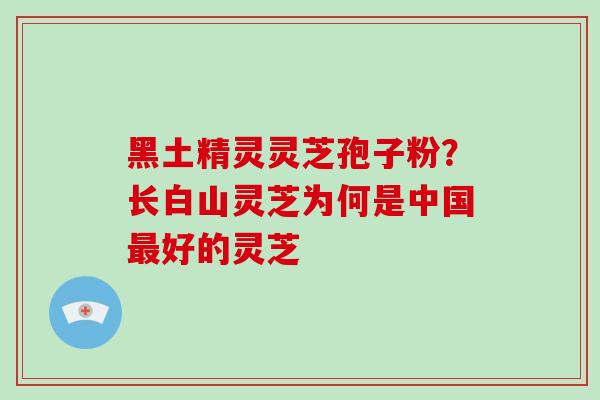 黑土精灵灵芝孢子粉？长白山灵芝为何是中国最好的灵芝
