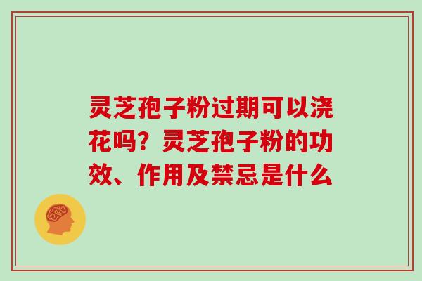 灵芝孢子粉过期可以浇花吗?灵芝孢子粉的功效、作用及禁忌是什么