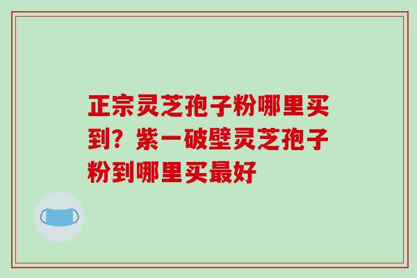 正宗灵芝孢子粉哪里买到?紫一破壁灵芝孢子粉到哪里买最好