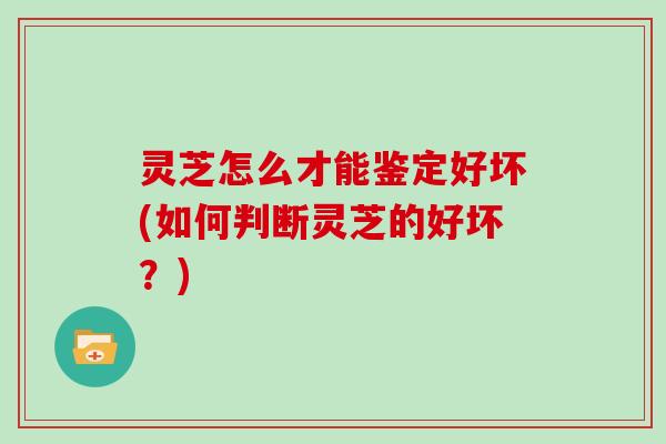 灵芝怎么才能鉴定好坏(如何判断灵芝的好坏?)