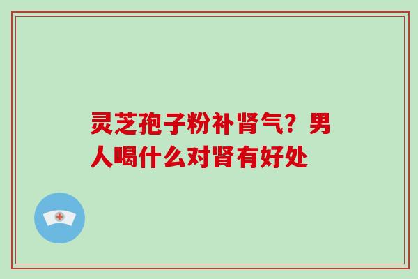 灵芝孢子粉补肾气?男人喝什么对肾有好处