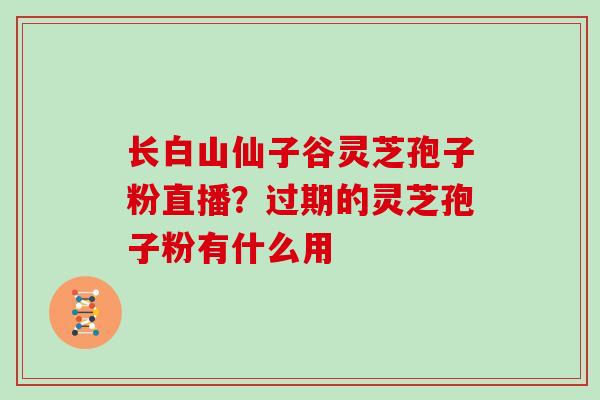 长白山仙子谷灵芝孢子粉直播?过期的灵芝孢子粉有什么用