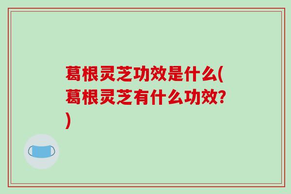 葛根灵芝功效是什么(葛根灵芝有什么功效?)