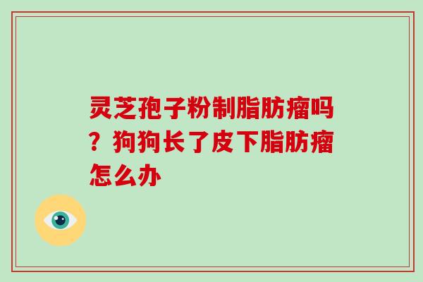 灵芝孢子粉制脂肪瘤吗？狗狗长了皮下脂肪瘤怎么办
