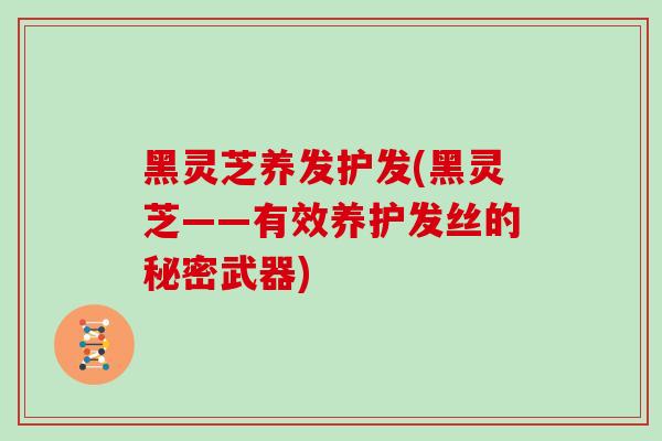 黑灵芝养发护发(黑灵芝——有效养护发丝的秘密武器)