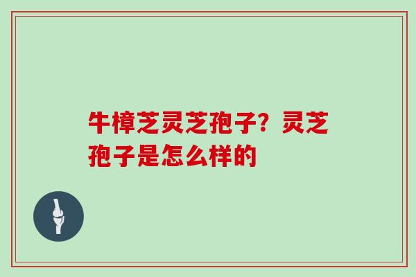 牛樟芝灵芝孢子?灵芝孢子是怎么样的