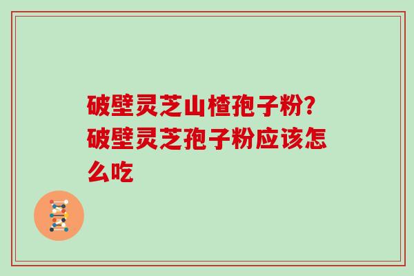 破壁灵芝山楂孢子粉?破壁灵芝孢子粉应该怎么吃