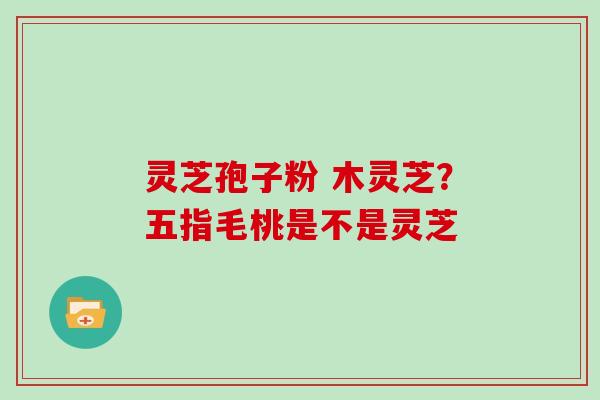 灵芝孢子粉 木灵芝？五指毛桃是不是灵芝