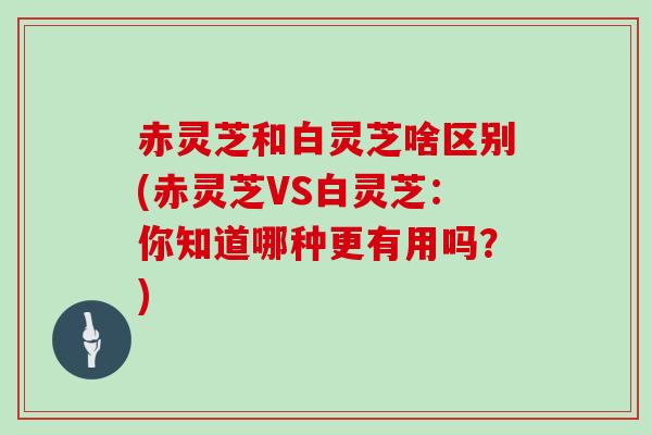 赤灵芝和白灵芝啥区别(赤灵芝VS白灵芝:你知道哪种更有用吗?)
