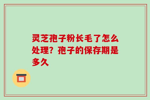 灵芝孢子粉长毛了怎么处理？孢子的保存期是多久