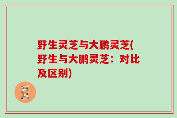 野生灵芝与大鹏灵芝(野生与大鹏灵芝：对比及区别)