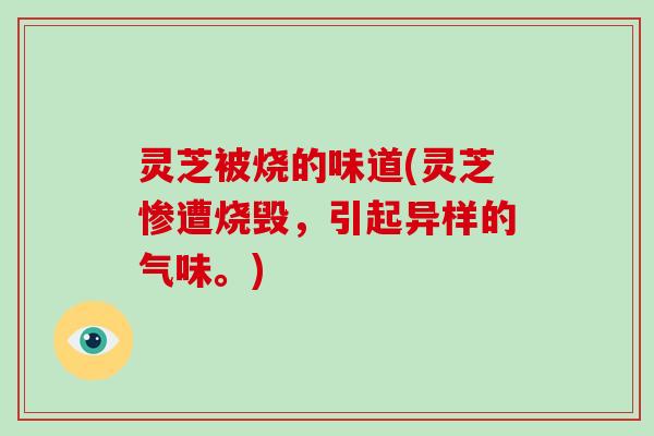 灵芝被烧的味道(灵芝惨遭烧毁,引起异样的气味。)