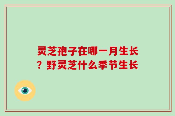 灵芝孢子在哪一月生长?野灵芝什么季节生长