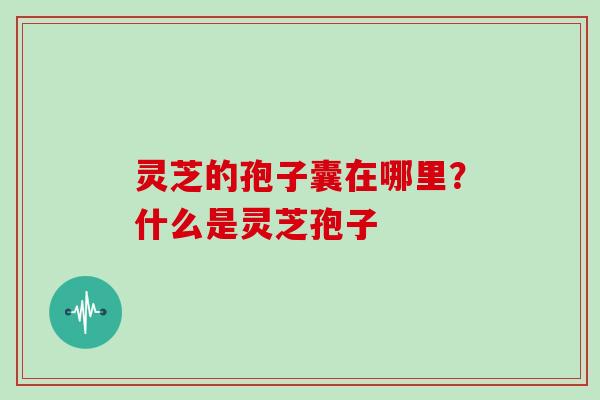 灵芝的孢子囊在哪里?什么是灵芝孢子