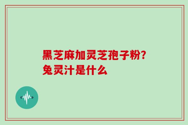 黑芝麻加灵芝孢子粉?兔灵汁是什么