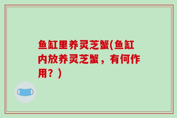 鱼缸里养灵芝蟹(鱼缸内放养灵芝蟹,有何作用?)