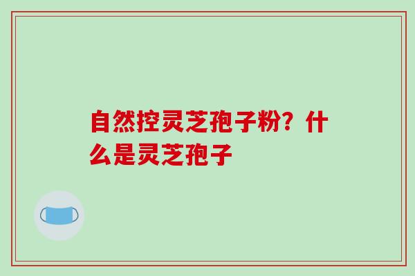 自然控灵芝孢子粉?什么是灵芝孢子