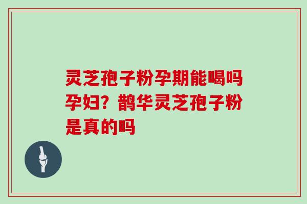 灵芝孢子粉孕期能喝吗孕妇？鹊华灵芝孢子粉是真的吗