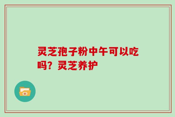 灵芝孢子粉中午可以吃吗?灵芝养护
