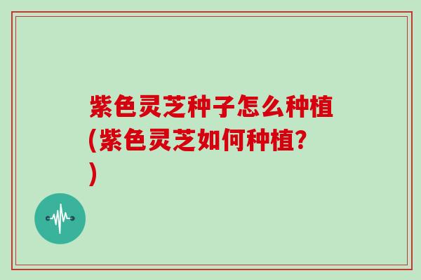 紫色灵芝种子怎么种植(紫色灵芝如何种植?)