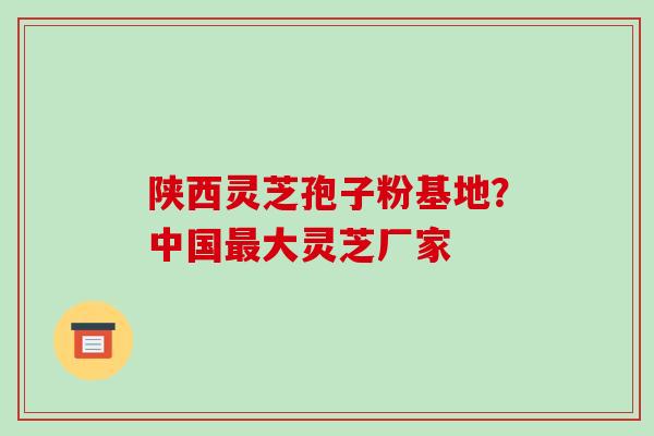 陕西灵芝孢子粉基地?中国最大灵芝厂家