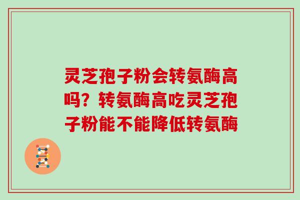 灵芝孢子粉会转氨酶高吗？转氨酶高吃灵芝孢子粉能不能降低转氨酶
